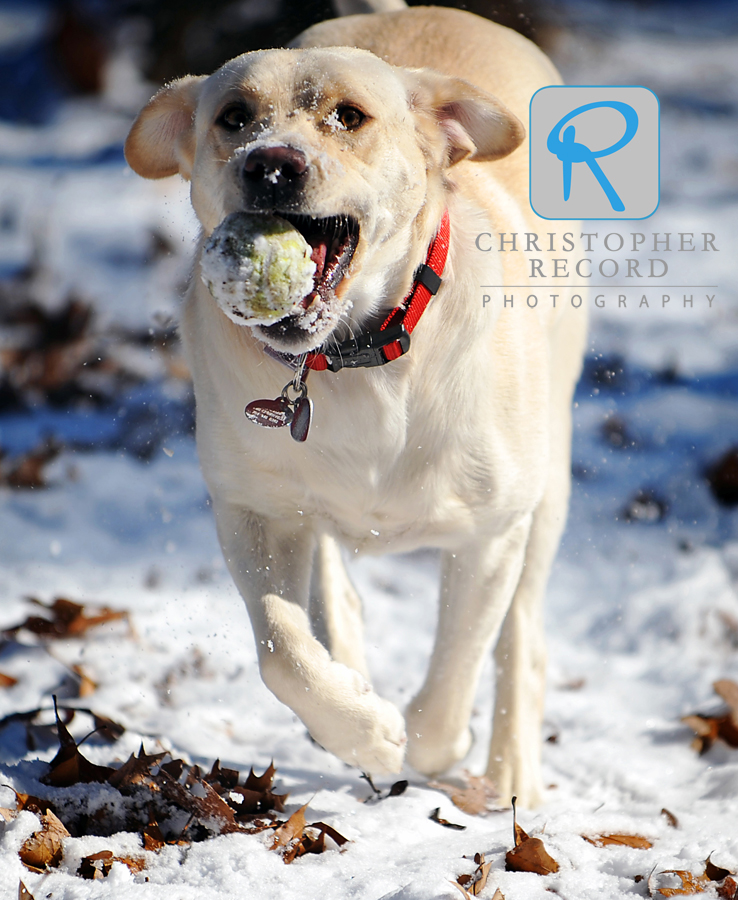 Snow adds some flavor to a good tennis ball