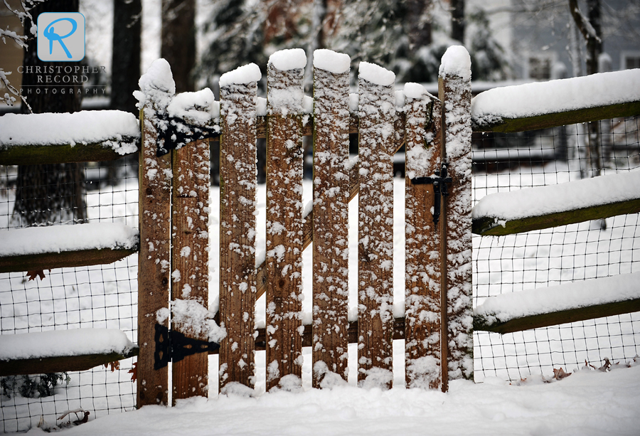 The fence in our back yard