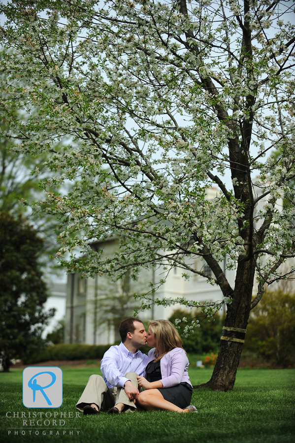 A beautiful spring setting