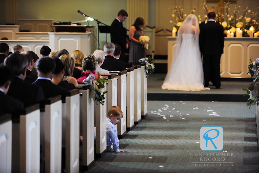 Another cousin, this little guy was determined to get a rose petal