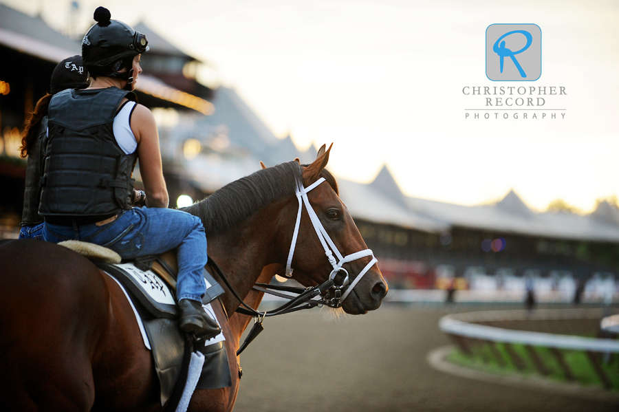 Quality Road, arguably the best horse in the country, gets some morning air